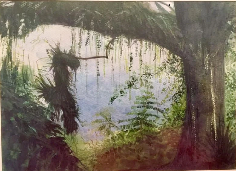 Watercolor: tropical forest interior with Spanish moss